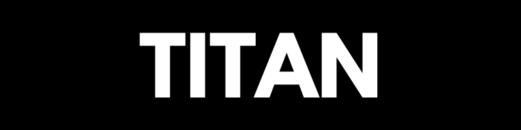 Filtersäcke kompatibel mit Titan